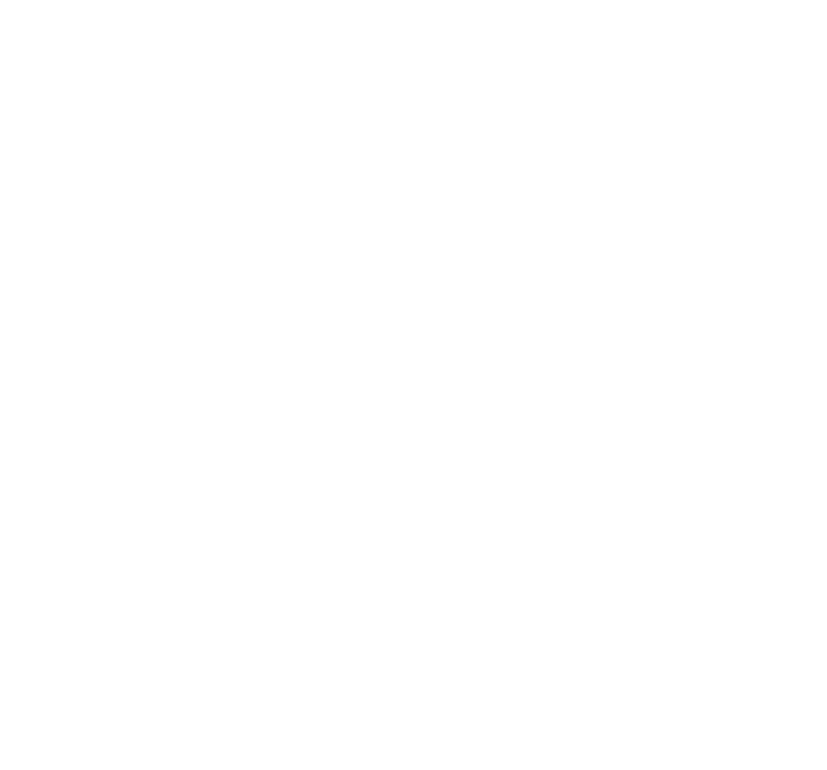Ins Logo
